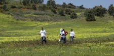 Ações de conservação da natureza