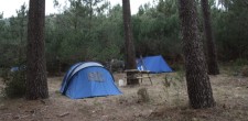 Pedra Amarela Campo Base