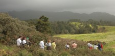 Ações de conservação da natureza