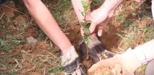 Ações de conservação da natureza