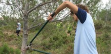 Ações de conservação da natureza