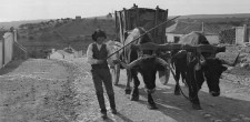 Camponês com carro de bois, c. 1900 | Caparide