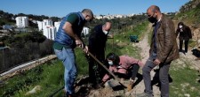 Plantação Medronheiros | Varandas de Cascais Plantação Medronheiros | Varandas de Cascais