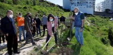 Plantação Medronheiros | Varandas de Cascais Plantação Medronheiros | Varandas de Cascais