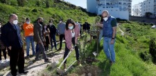 Plantação Medronheiros | Varandas de Cascais