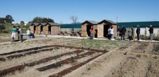 Hortas Comunitárias da Abódoda Hortas Comunitárias da Abódoda