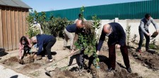 Hortas Comunitárias da Abódoda Hortas Comunitárias da Abódoda