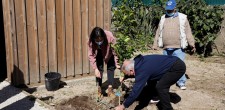 Hortas Comunitárias da Abódoda Hortas Comunitárias da Abódoda