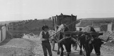 Saloio em Caparide, c. 1900 | Coleção Antiga do Município – Arquivo Histórico Municipal