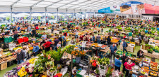 Mercado da Vila