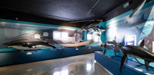 Museu do Mar Rei D. Carlos