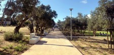 Parque Urbano da Quinta da Carreira
