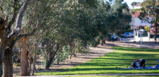 Parque Urbano da Quinta da Carreira