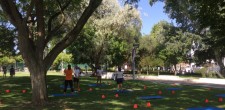 Parque da Quinta da Alagoa