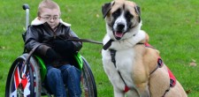 Owen Howkins e o seu cão, Haatchi. Fonte: Huffington Post