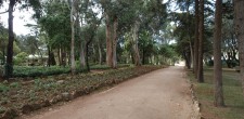 Parque Marechal Carmona