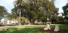 Parque Marechal Carmona
