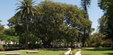 Parque Marechal Carmona, Cascais Parque Marechal Carmona, Cascais