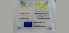 Placa