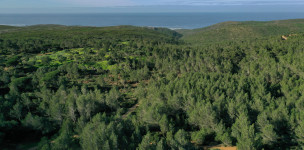 Cascais abre consulta pública ...