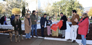 A Quinta da Alagoa Tem Agora  ...